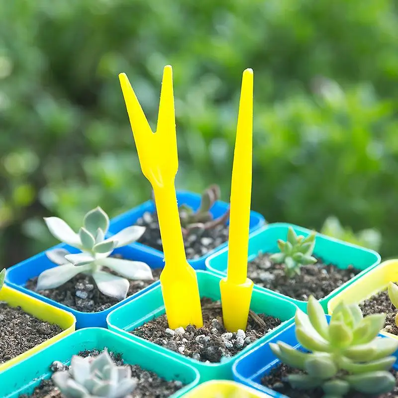 Succulent Set - 1/10 шт., посева суккулентов, пересадка, рассады,