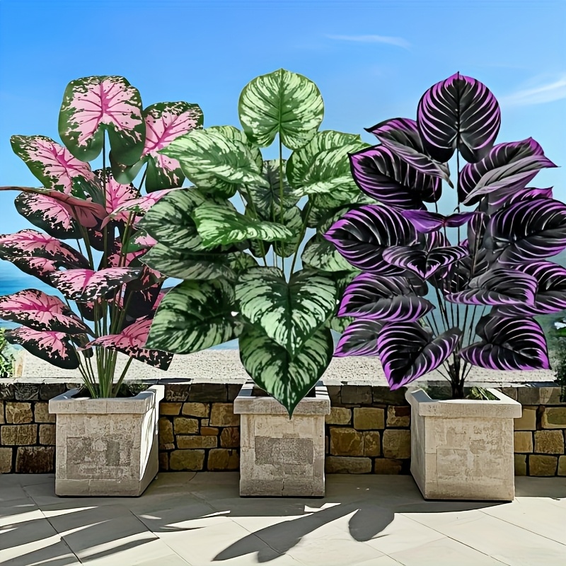 Fiddle Leaf Fig - 3 шт., 60 см, большой набор