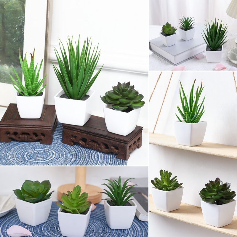 Succulent Set - (Набор из 3 шт.) Имитация мини-горшечных