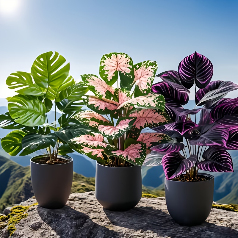 Fiddle Leaf Fig - Набор из 3 искусственных растений: большая