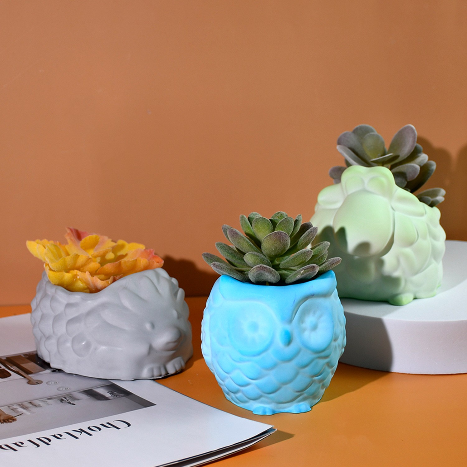 3D цветочный горшок с животным – обзор и цена Succulent Set