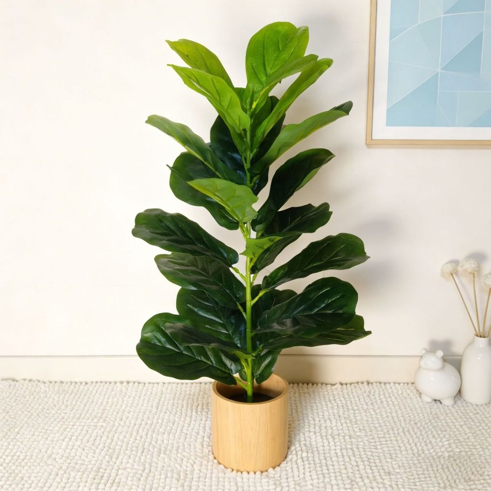 Искусственное дерево фикус из  – обзор и цена Snake Plant