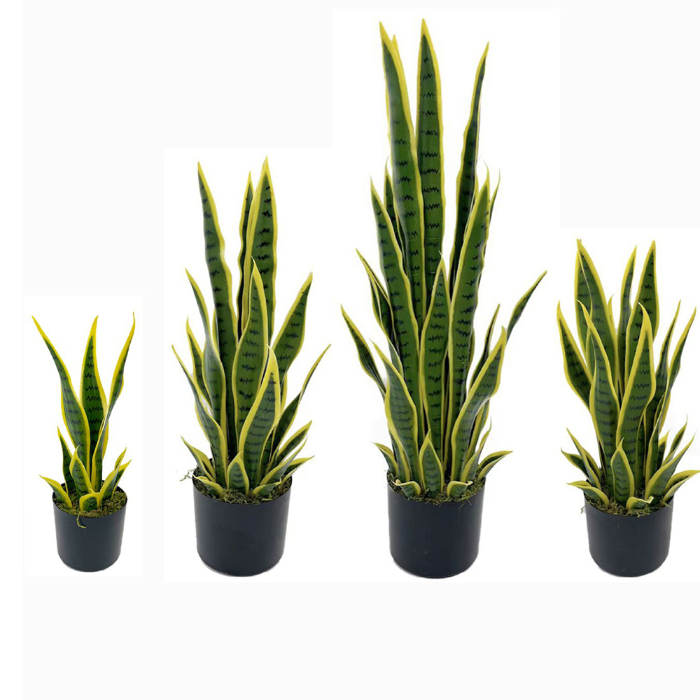 Искусственная сансевиерия (плю – обзор и цена Snake Plant