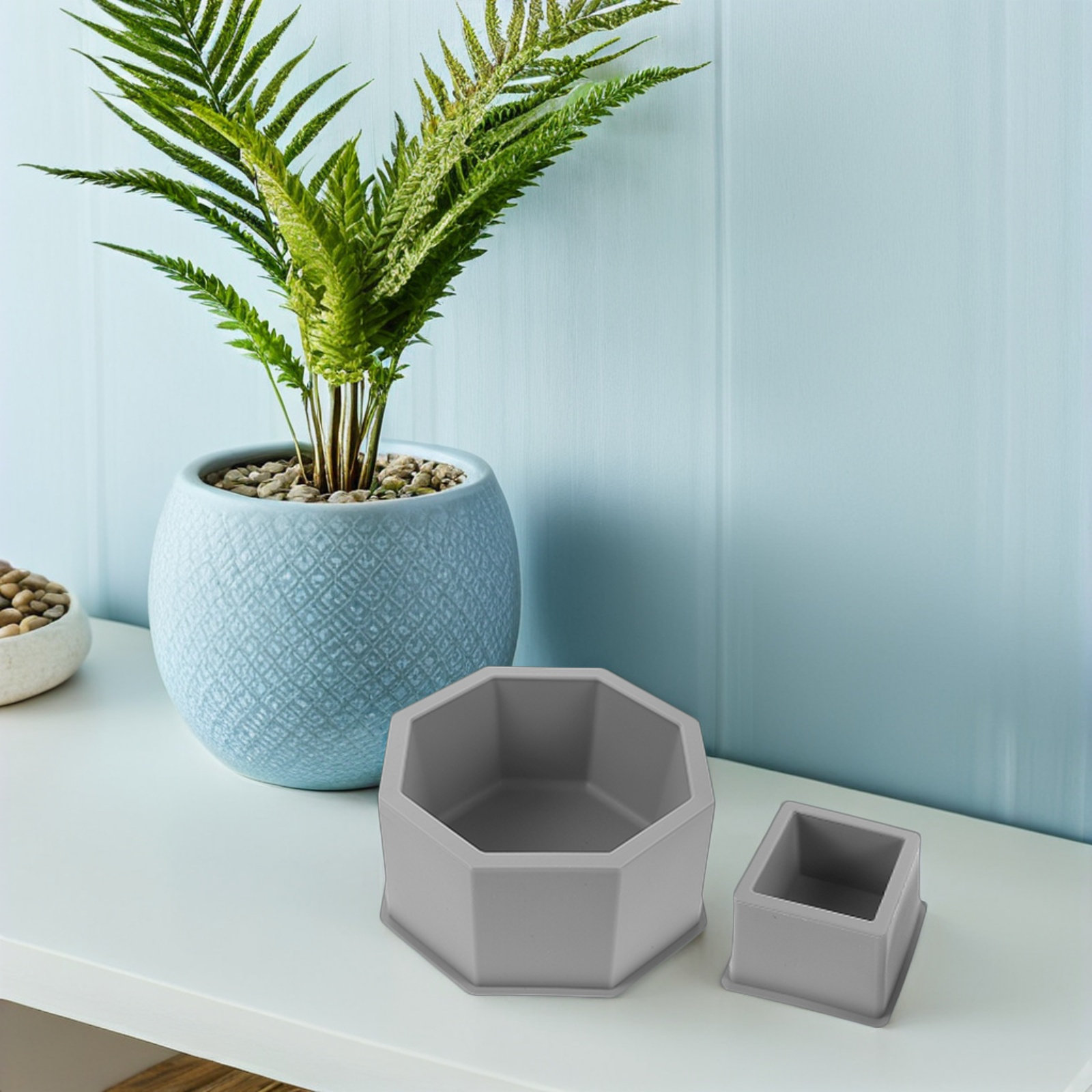 Набор из 2 многоразовых силико – обзор и цена Succulent Set