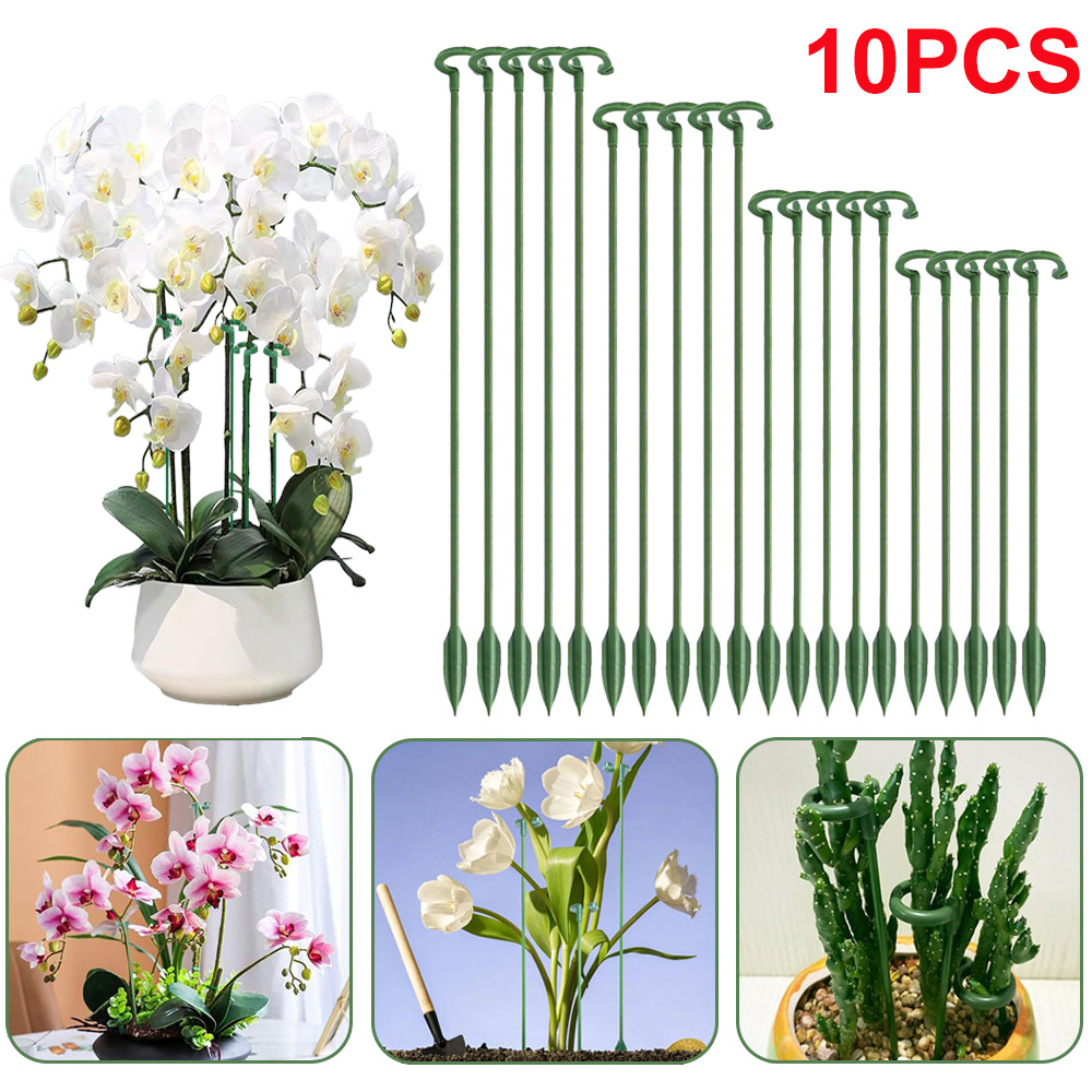 5/10 шт. опор для растений, де – обзор и цена Succulent Set